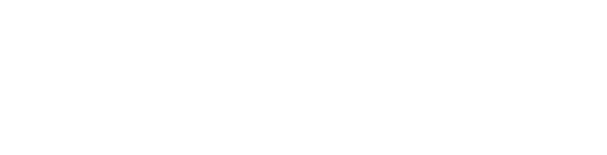 Klaus Haus